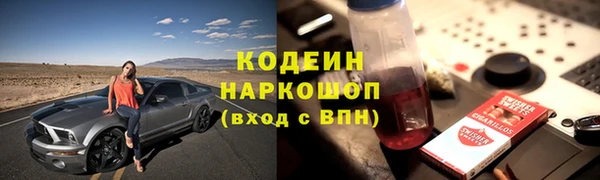 молекула духа Надым