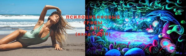 трава Михайловка