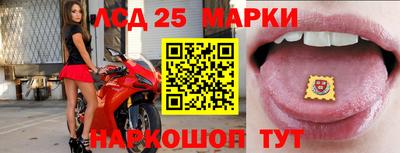 ПСИЛОЦИБИНОВЫЕ ГРИБЫ Гусев
