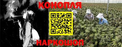 ПСИЛОЦИБИНОВЫЕ ГРИБЫ Гусев