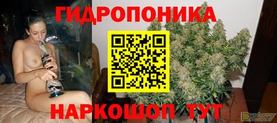 ПСИЛОЦИБИНОВЫЕ ГРИБЫ Гусев