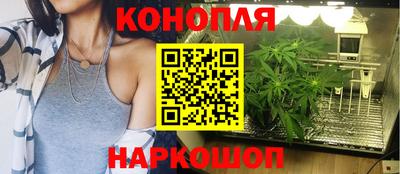 ПСИЛОЦИБИНОВЫЕ ГРИБЫ Гусев