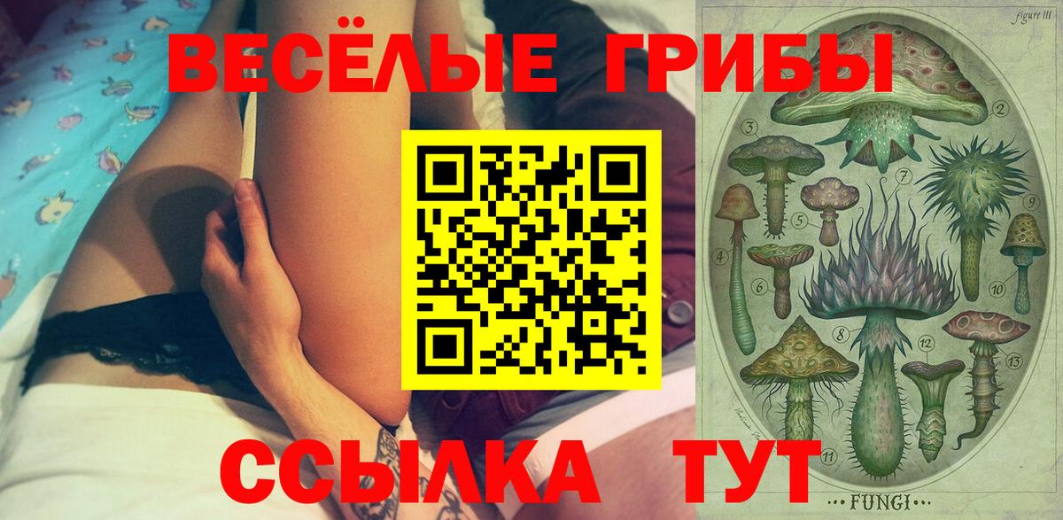 Кольчугино  Галлюциногенные грибы мицелий  Вход с VPN 